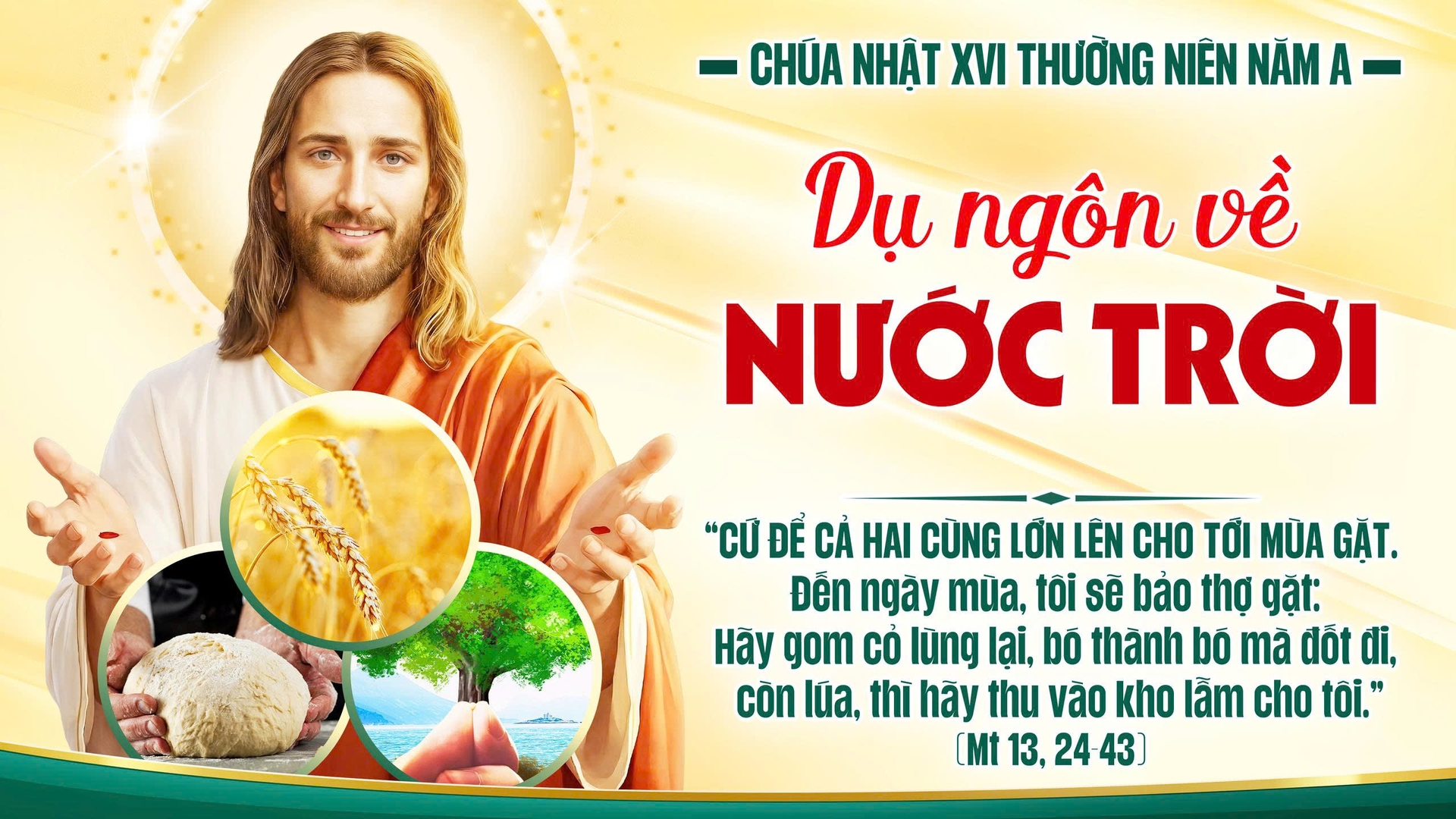 Suy Niệm Lời Chúa |Chúa Nhật Tuần XVI Mùa Thường Niên - Năm A| Mt 13,24-43 | Lm Alfonso Nguyễn Quang Hiển-Gp Phú Cường